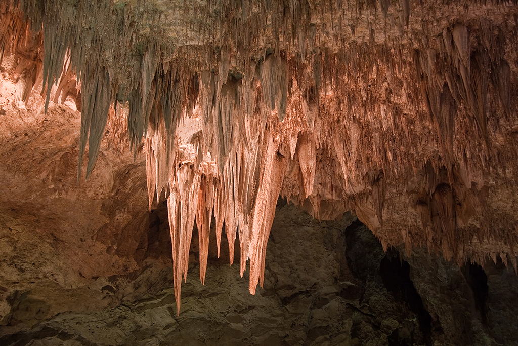 26_Carlsbad Caverns National Park_05.jpg